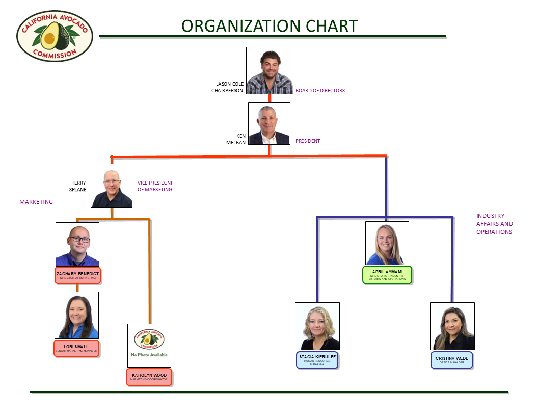 Commission staff organization chart