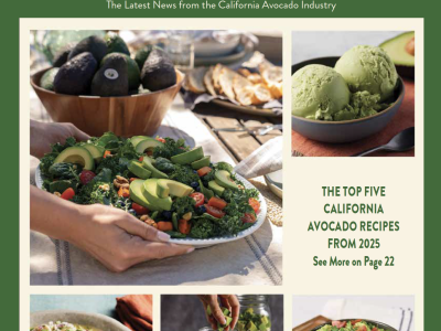 From the Grove Winter 2025-26