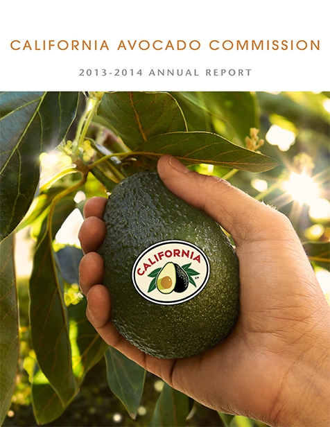 2014 CAC Annual Report