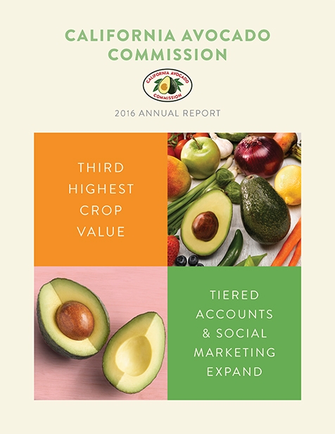 2016 CAC Annual Report