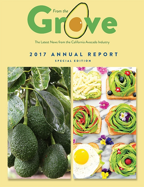 2017 CAC Annual Report