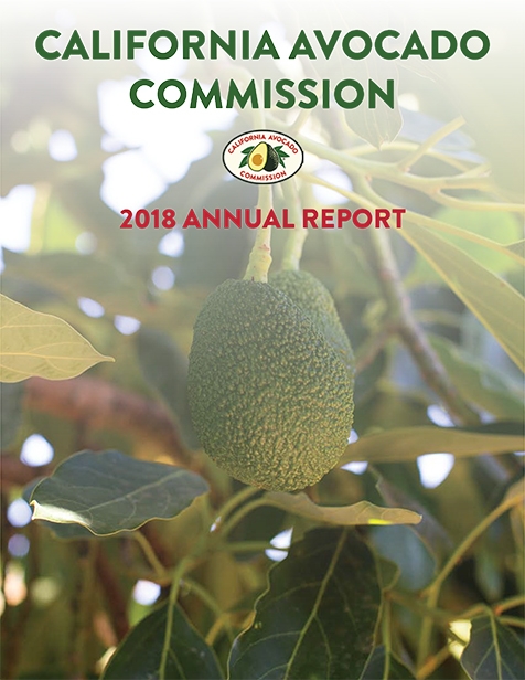 2018 CAC Annual Report