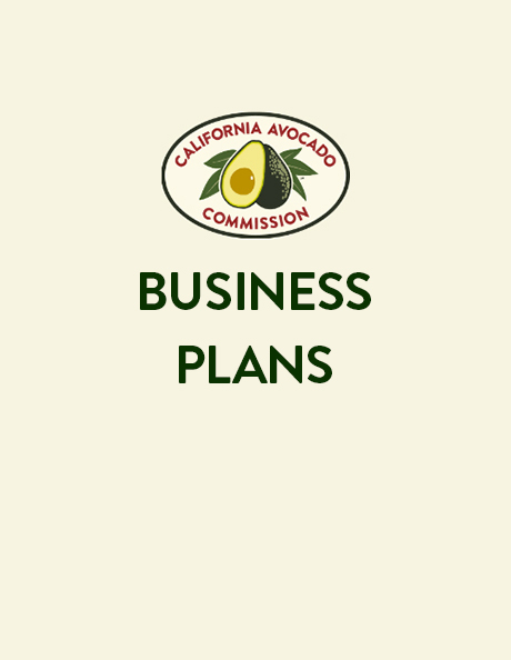 Business Plans