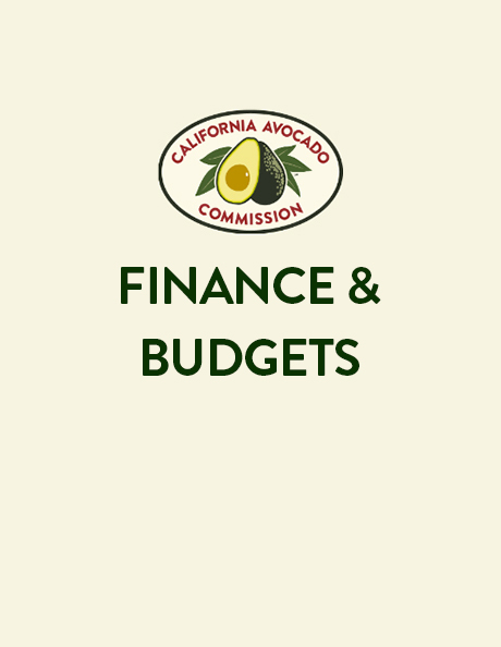 Finance and Budgets