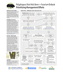 PSHB Prioritizing Management Efforts