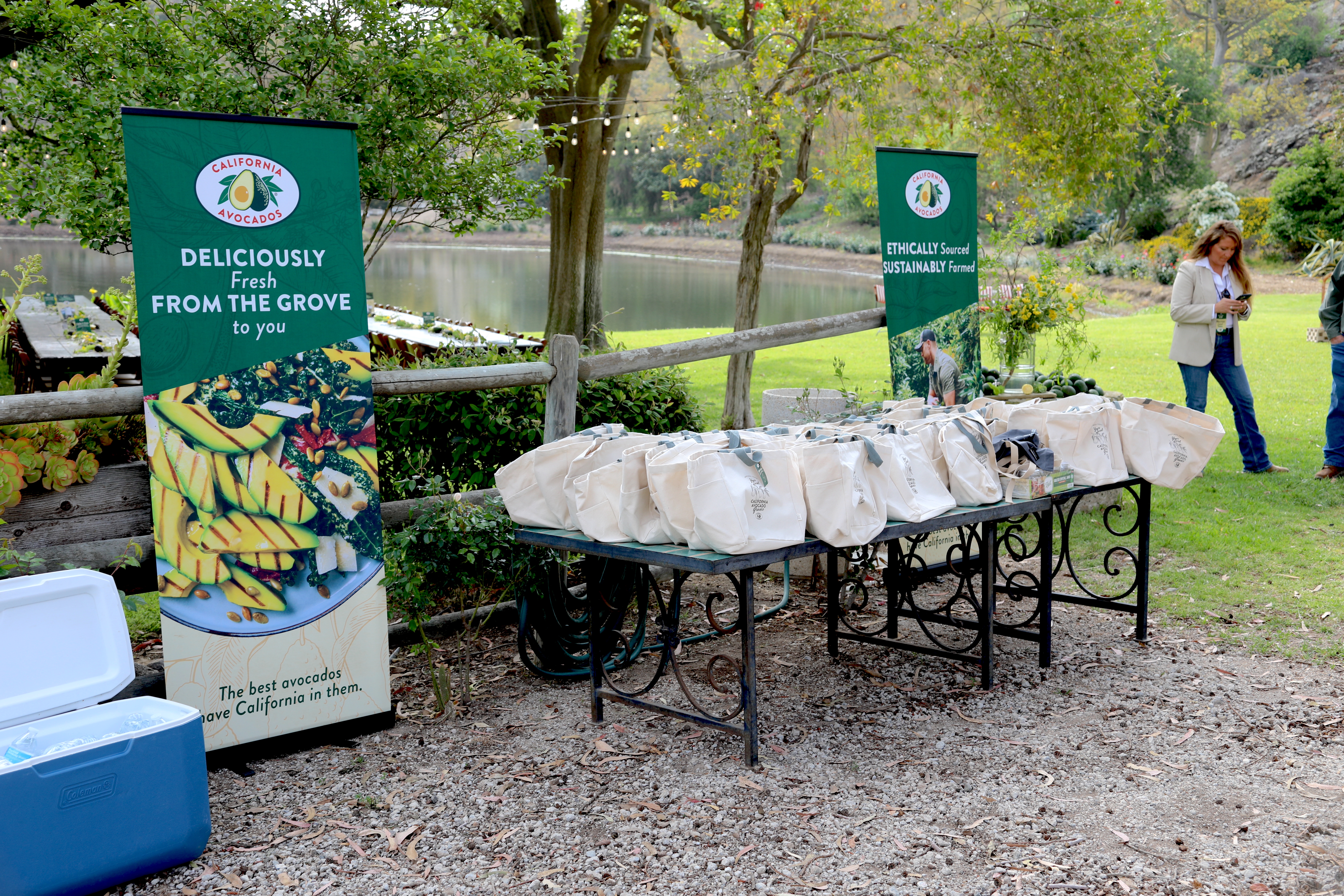 CA avocado grove tour welcome setup
