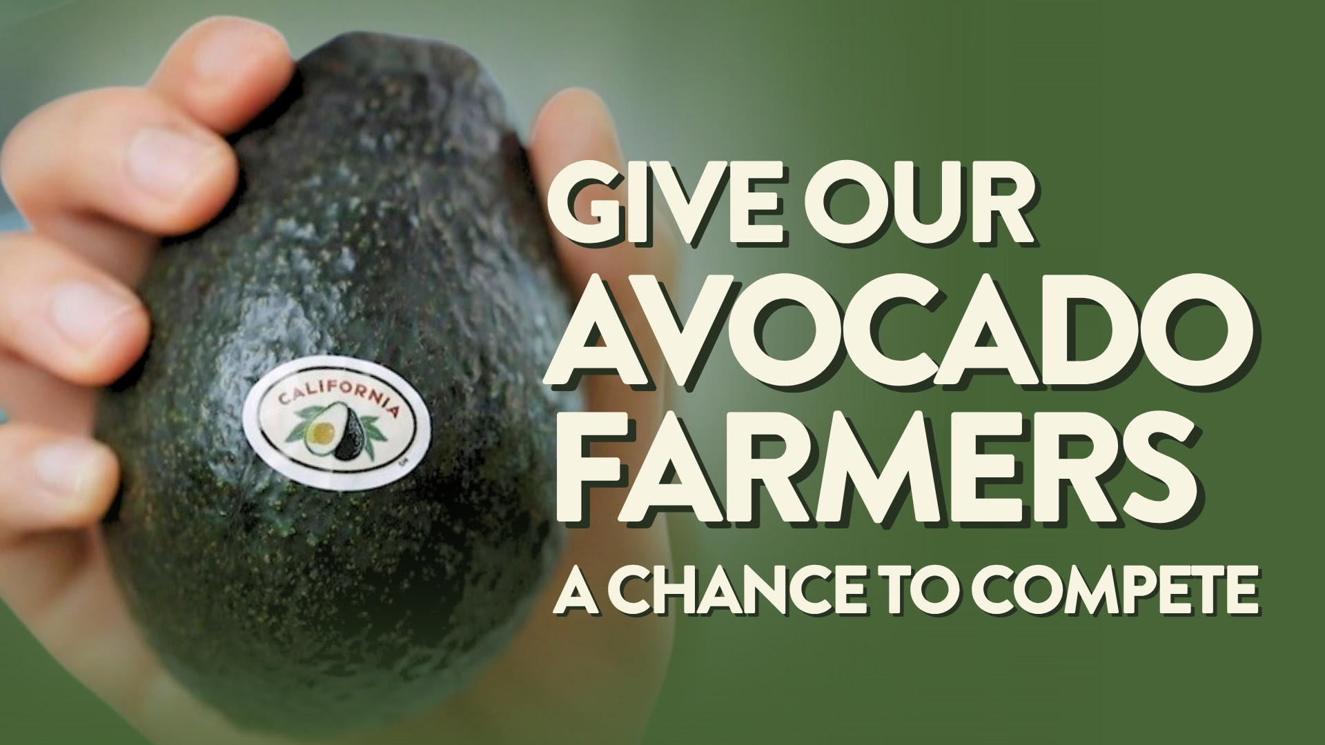 California avocado growers release video urging Washington to Put American Farmers First in Mexico Trade Talks
