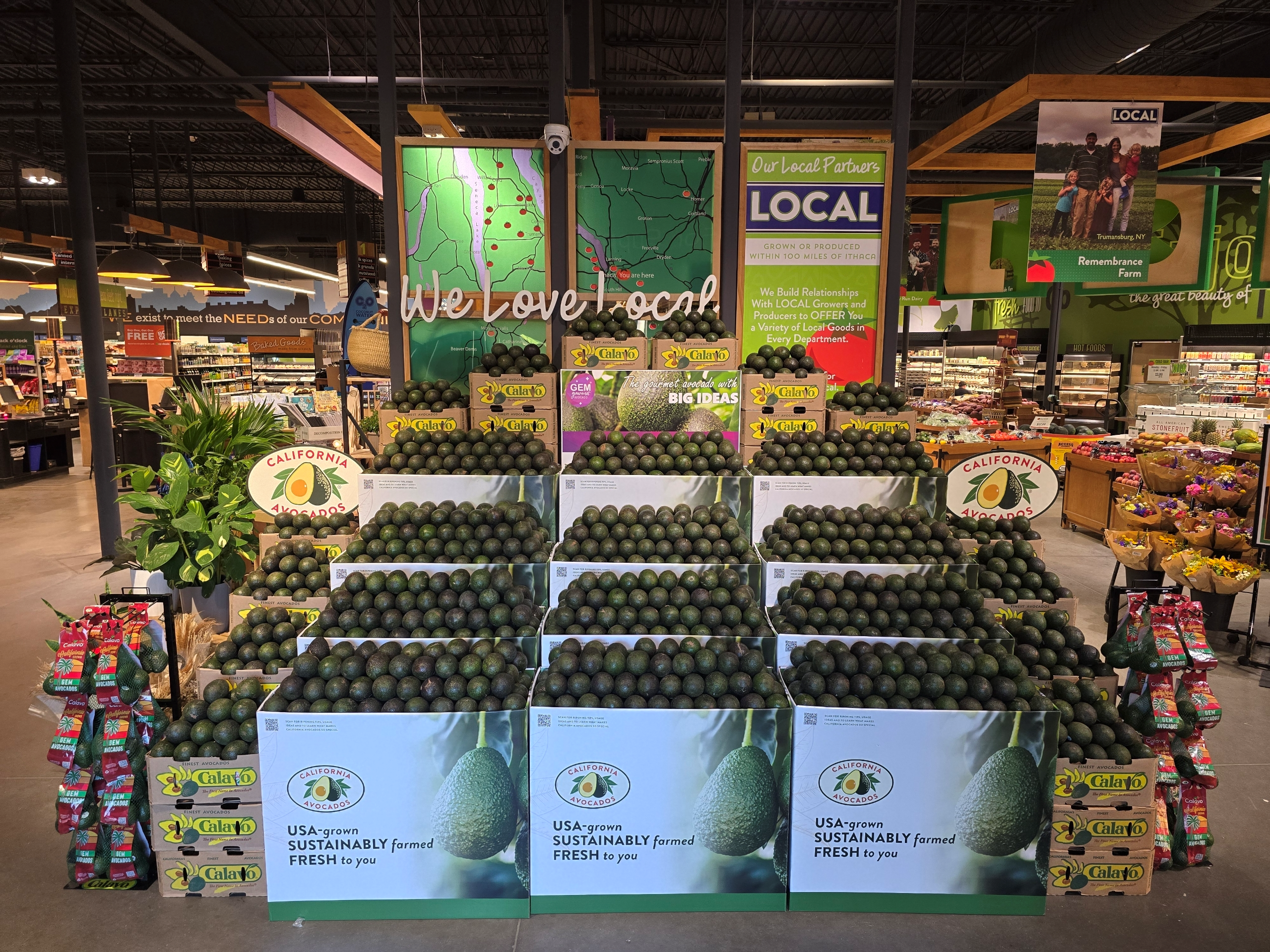 These dramatic product offerings showcased the GEM variety early and will be closing the season with both Lamb Hass and Hass varieties.