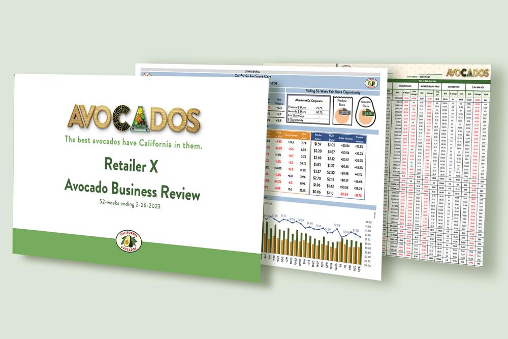 Sample Avocado Business Review for a retailer.