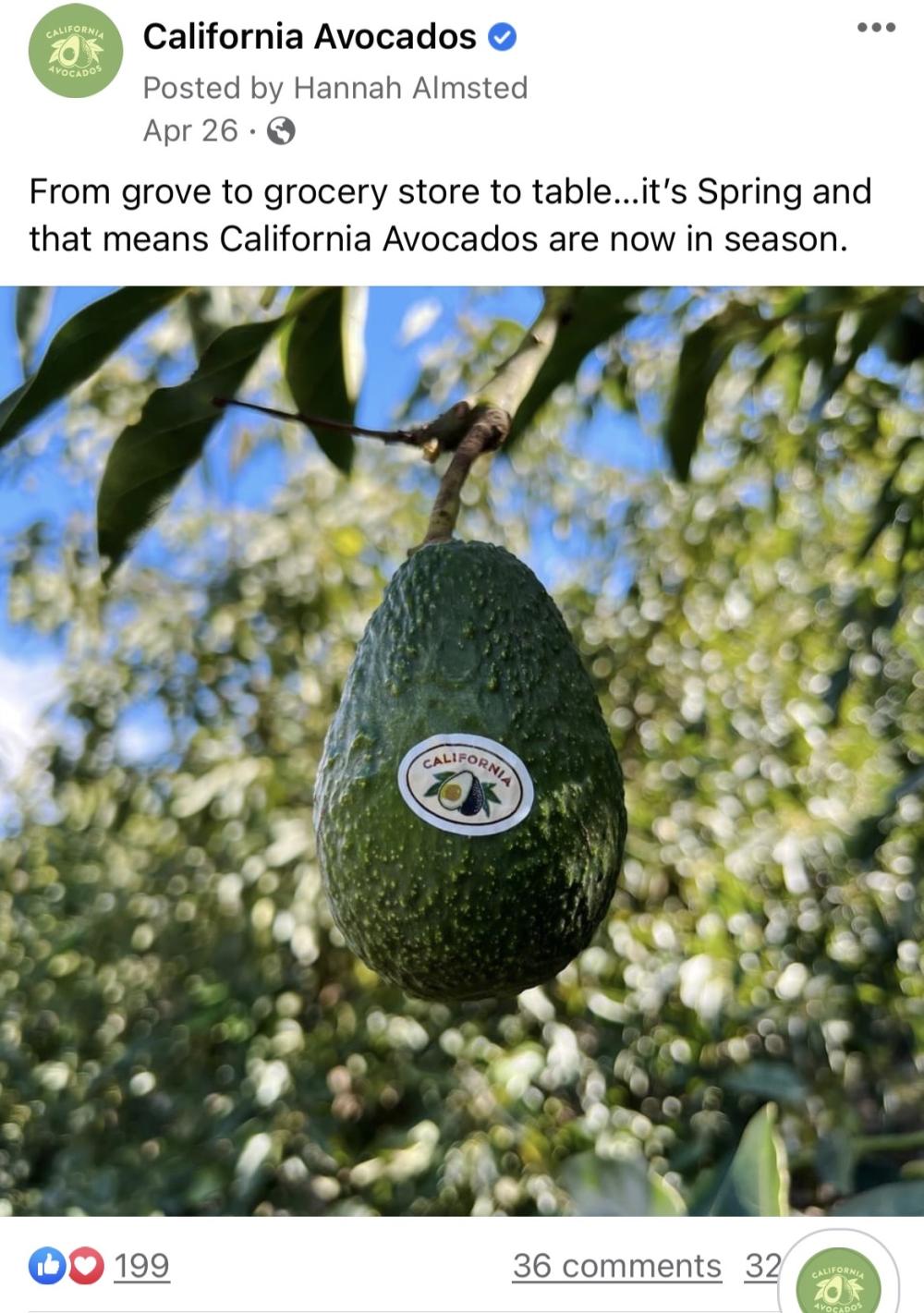 Social media posts celebrated the start of the California avocado season.