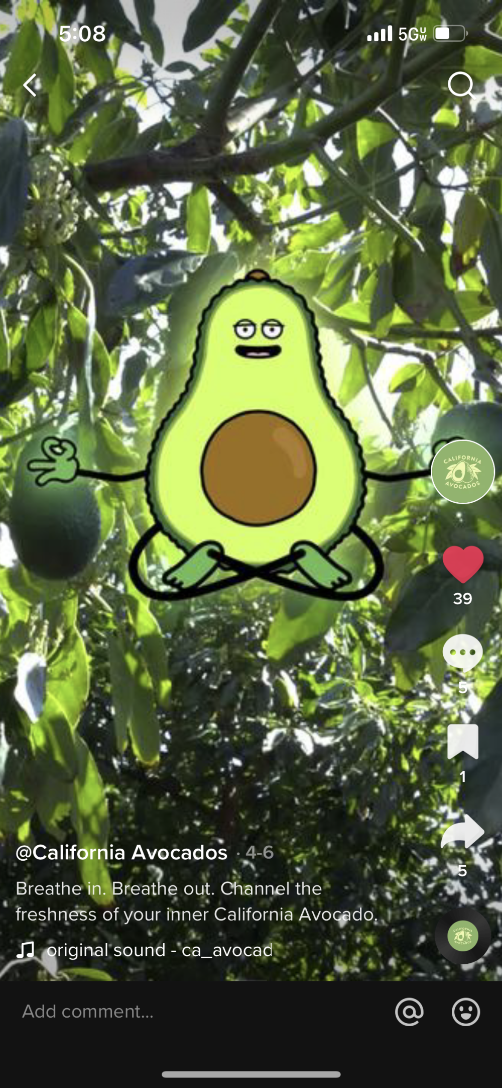 The California avocado TikTok account launched in April with the ‘Avo-Zen’ series.