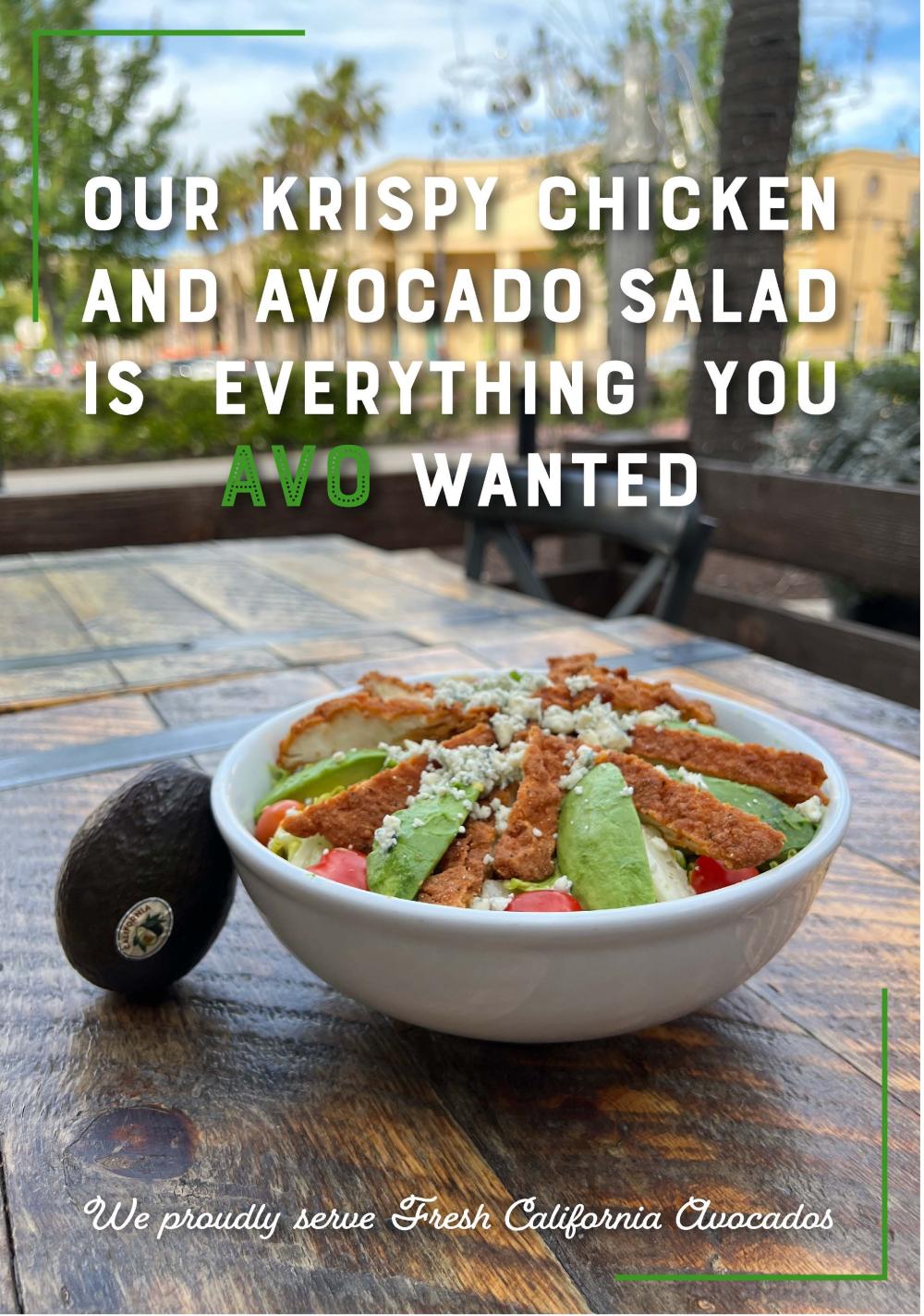 Buckhorn Grill showcased their California avocado menu items in a custom email blast to more than 41,000 subscribers.