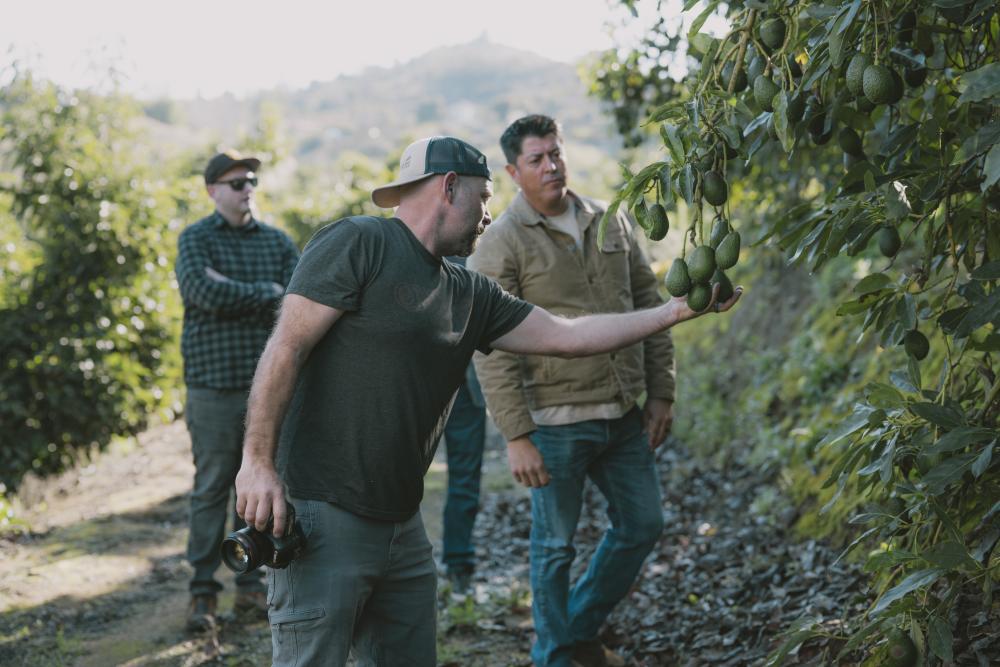 Filming California avocado groves and growers who will be featured in the 2024 consumer advertising campaign