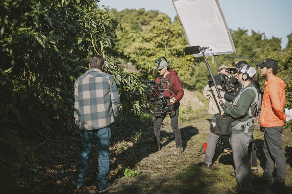 CA avocado grove shoot for consumer marketing