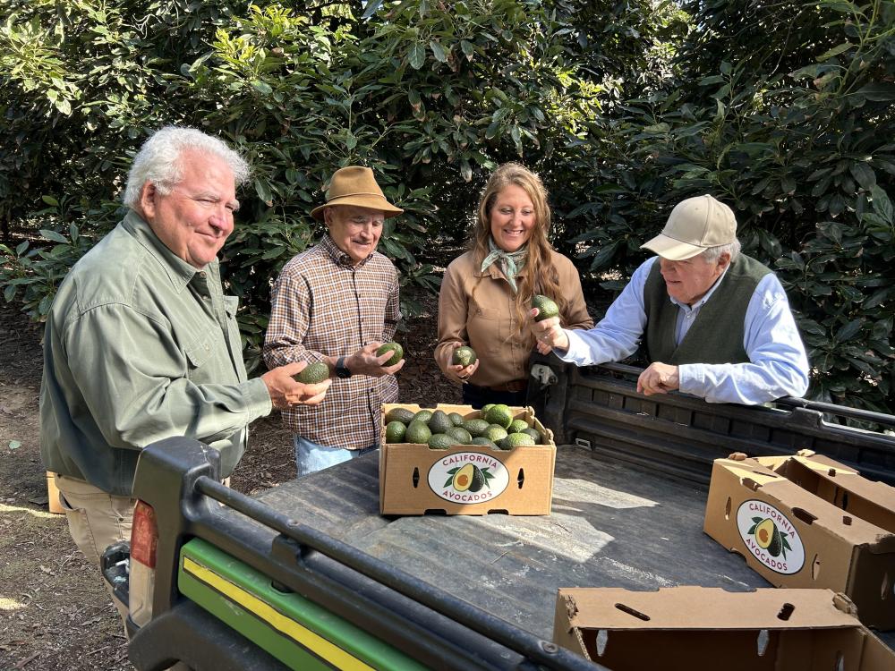 Growers from Camlam Farms also are featured in this year’s California avocado advertising, from left, John Lamb, David Lamb, Maureen Lamb Cottingham and Robert Lamb.