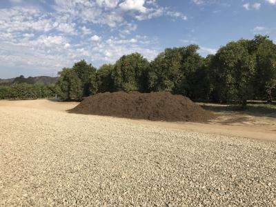 Pile of mulch awaiting distribution in grove