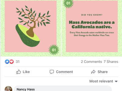 Numerous posts, including this one, shared the rich history of California avocados with consumers.