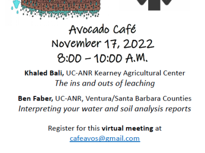 The Avocado Café is hosting a free webinar entitled, “Everything You Ever Wanted to Know About Leaching but Were Afraid to Ask”.