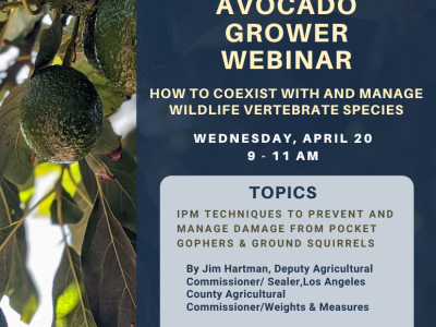 The free webinar will share strategies for coping with pocket gophers, ground squirrels and mountain lions.