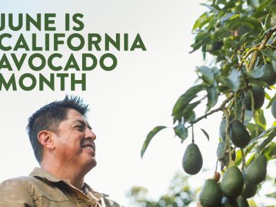 California Avocado Month graphic featuring California avocado grower Ricardo Serrato.