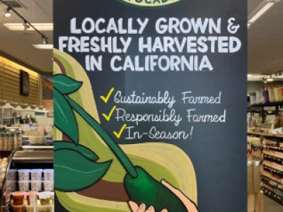 Rolling Hills CA avocado chalk art
