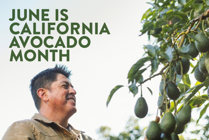 California Avocado Month graphic featuring California avocado grower Ricardo Serrato.