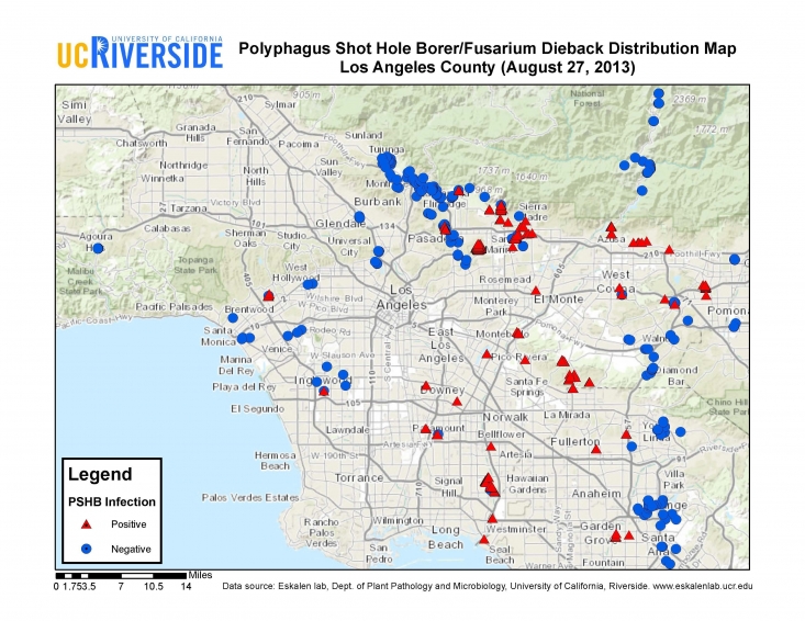 Polyphagus-Shot-Hole-Borer-Los-Angeles-County-Map-August-2013.jpg ...